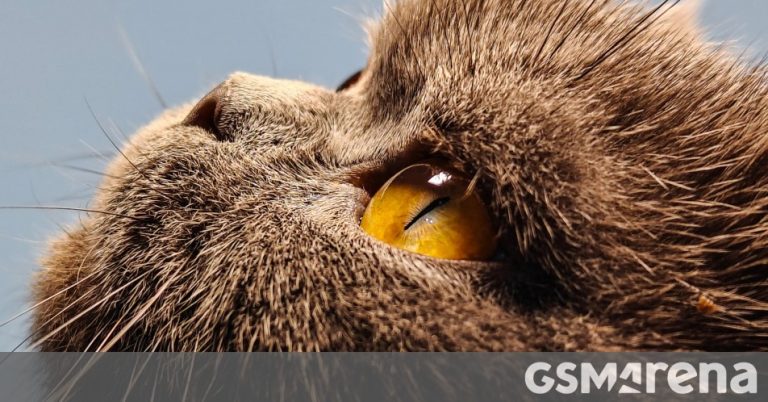 Experience Stunning Telephoto Camera Shots from Realme GT5 Pro Ahead of Launch