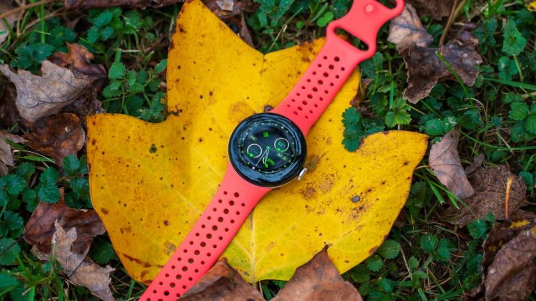 Upgrade Your Pixel Watch with Dynamic Color and Material You for a Stylish Look!